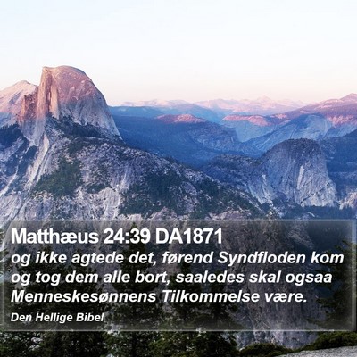 Matthæus 24:39 DA1871 Bible Verse Image
