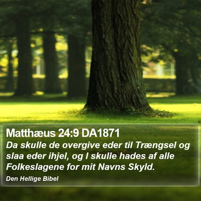 Matthæus 24:9 DA1871 Bible Verse Image