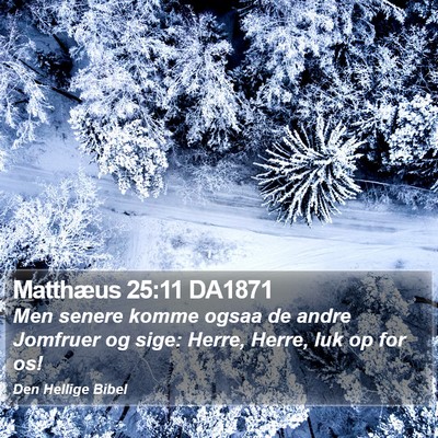 Matthæus 25:11 DA1871 Bible Verse Image