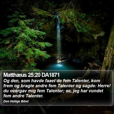 Matthæus 25:20 DA1871 Bible Verse Image