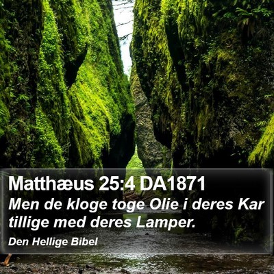 Matthæus 25:4 DA1871 Bible Verse Image