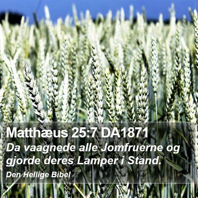 Matthæus 25:7 DA1871 Bible Verse Image