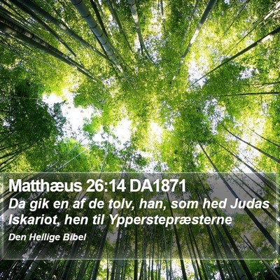 Matthæus 26:14 DA1871 Bible Verse Image