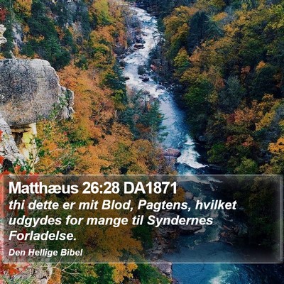 Matthæus 26:28 DA1871 Bible Verse Image
