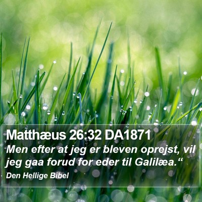 Matthæus 26:32 DA1871 Bible Verse Image