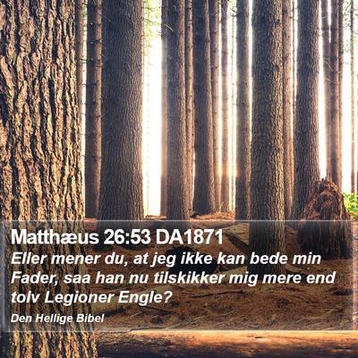 Matthæus 26:53 DA1871 Bible Verse Image