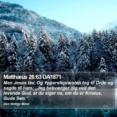 Matthæus 26:63 DA1871 Bible Verse Image