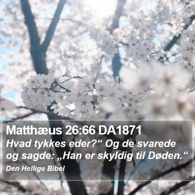 Matthæus 26:66 DA1871 Bible Verse Image