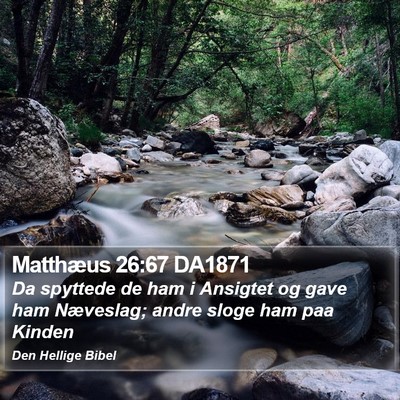 Matthæus 26:67 DA1871 Bible Verse Image