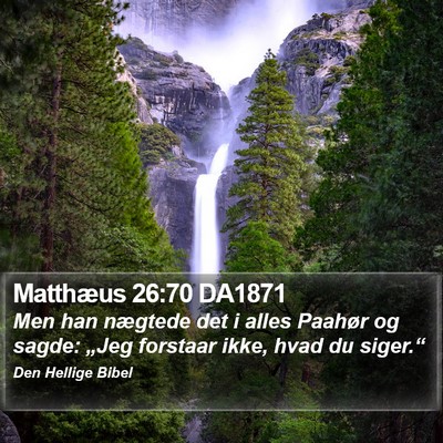 Matthæus 26:70 DA1871 Bible Verse Image