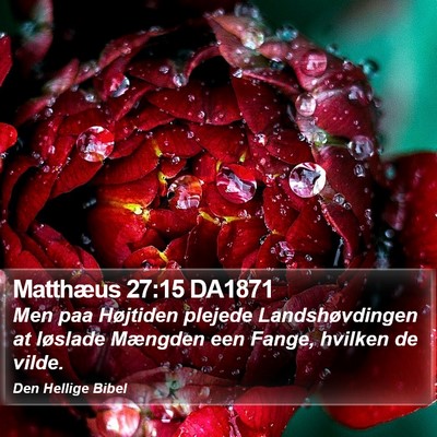 Matthæus 27:15 DA1871 Bible Verse Image