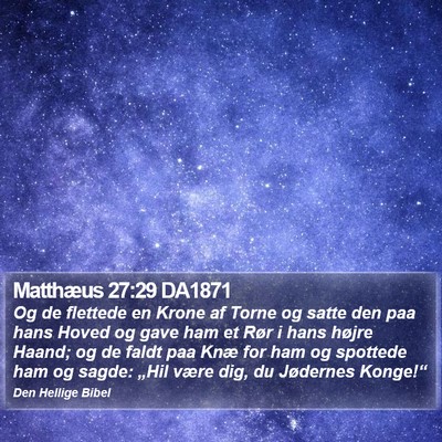 Matthæus 27:29 DA1871 Bible Verse Image