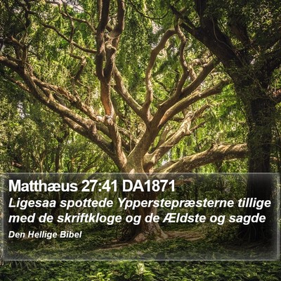 Matthæus 27:41 DA1871 Bible Verse Image