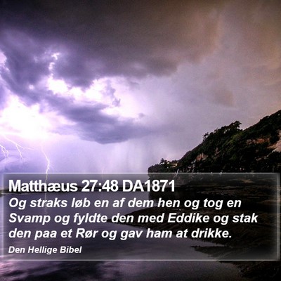 Matthæus 27:48 DA1871 Bible Verse Image