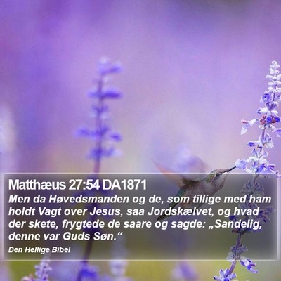Matthæus 27:54 DA1871 Bible Verse Image