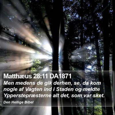 Matthæus 28:11 DA1871 Bible Verse Image