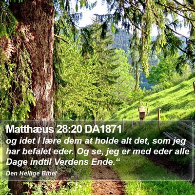 Matthæus 28:20 DA1871 Bible Verse Image