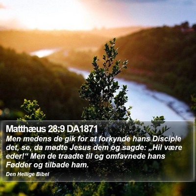 Matthæus 28:9 DA1871 Bible Verse Image