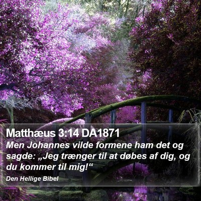 Matthæus 3:14 DA1871 Bible Verse Image