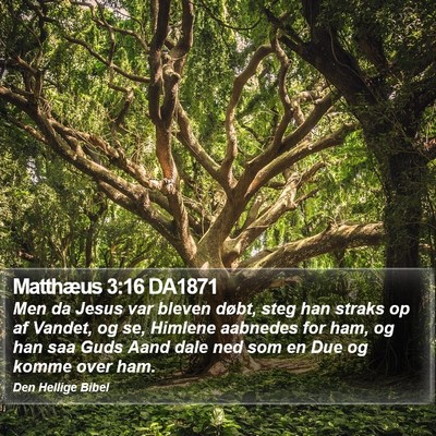 Matthæus 3:16 DA1871 Bible Verse Image