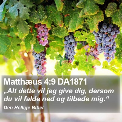 Matthæus 4:9 DA1871 Bible Verse Image