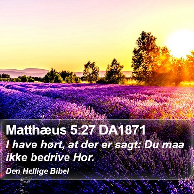 Matthæus 5:27 DA1871 Bible Verse Image