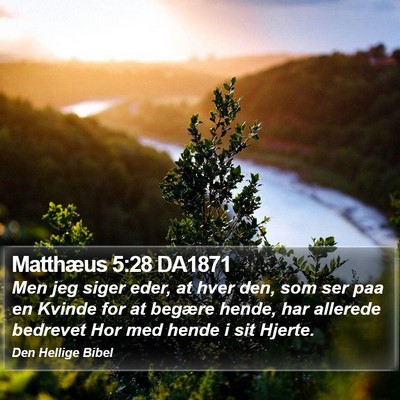 Matthæus 5:28 DA1871 Bible Verse Image