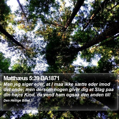 Matthæus 5:39 DA1871 Bible Verse Image