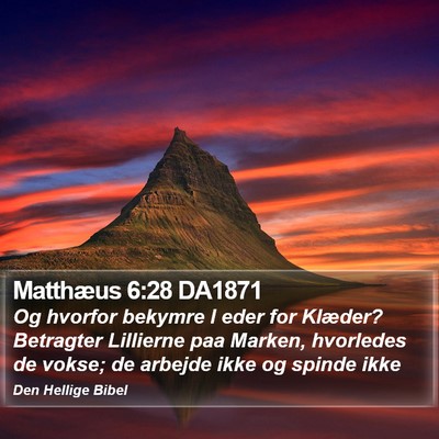 Matthæus 6:28 DA1871 Bible Verse Image