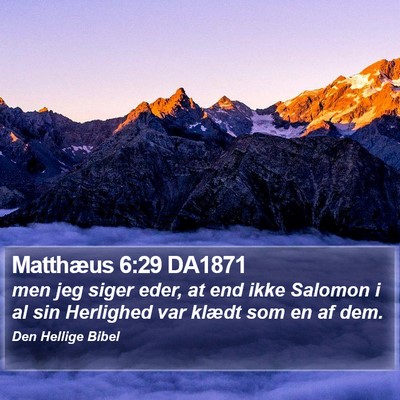 Matthæus 6:29 DA1871 Bible Verse Image
