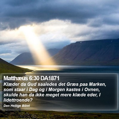 Matthæus 6:30 DA1871 Bible Verse Image