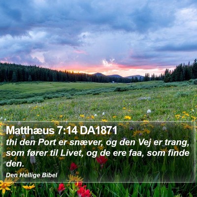 Matthæus 7:14 DA1871 Bible Verse Image