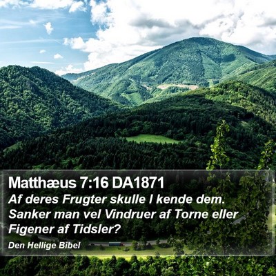 Matthæus 7:16 DA1871 Bible Verse Image