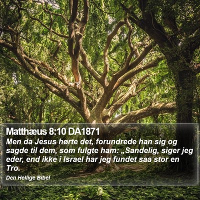 Matthæus 8:10 DA1871 Bible Verse Image