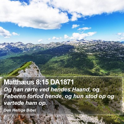 Matthæus 8:15 DA1871 Bible Verse Image