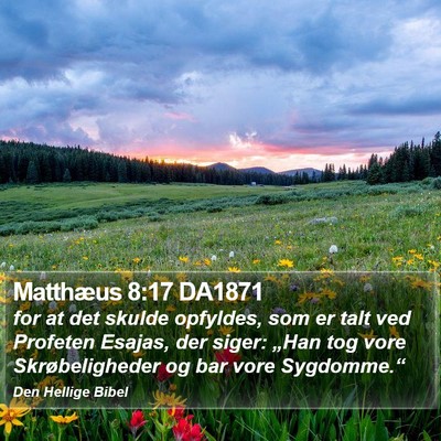 Matthæus 8:17 DA1871 Bible Verse Image