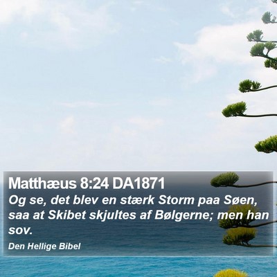 Matthæus 8:24 DA1871 Bible Verse Image
