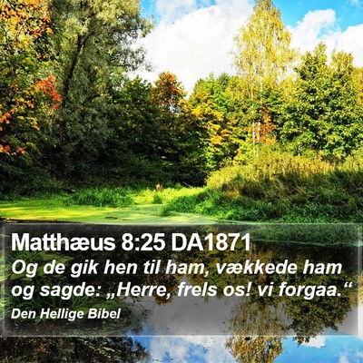 Matthæus 8:25 DA1871 Bible Verse Image