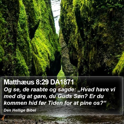 Matthæus 8:29 DA1871 Bible Verse Image