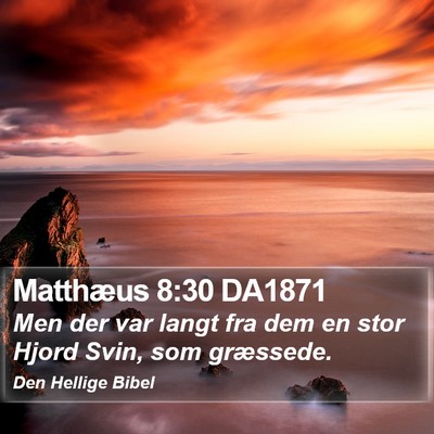 Matthæus 8:30 DA1871 Bible Verse Image