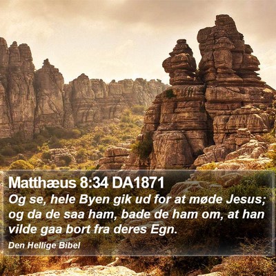 Matthæus 8:34 DA1871 Bible Verse Image