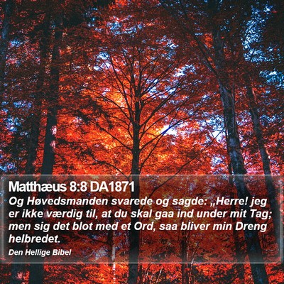 Matthæus 8:8 DA1871 Bible Verse Image