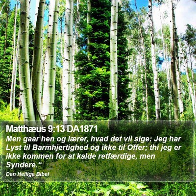 Matthæus 9:13 DA1871 Bible Verse Image