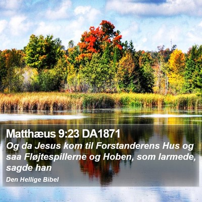 Matthæus 9:23 DA1871 Bible Verse Image