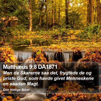 Matthæus 9:8 DA1871 Bible Verse Image