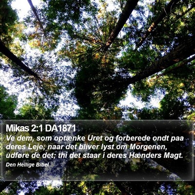 Mikas 2:1 DA1871 Bible Verse Image