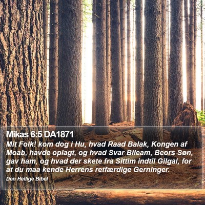 Mikas 6:5 DA1871 Bible Verse Image