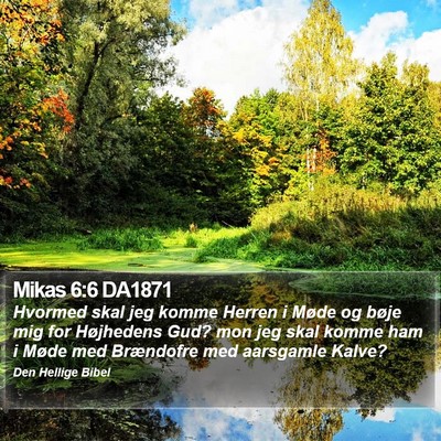 Mikas 6:6 DA1871 Bible Verse Image