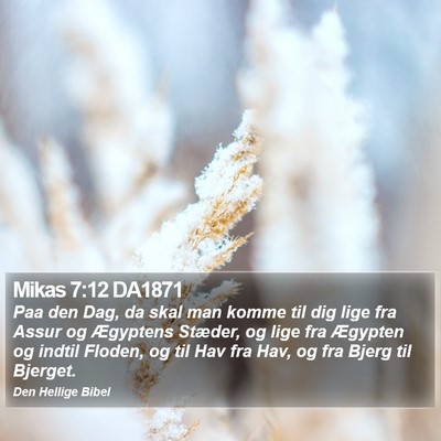 Mikas 7:12 DA1871 Bible Verse Image