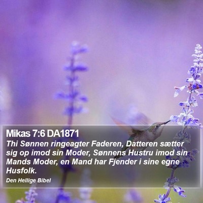Mikas 7:6 DA1871 Bible Verse Image